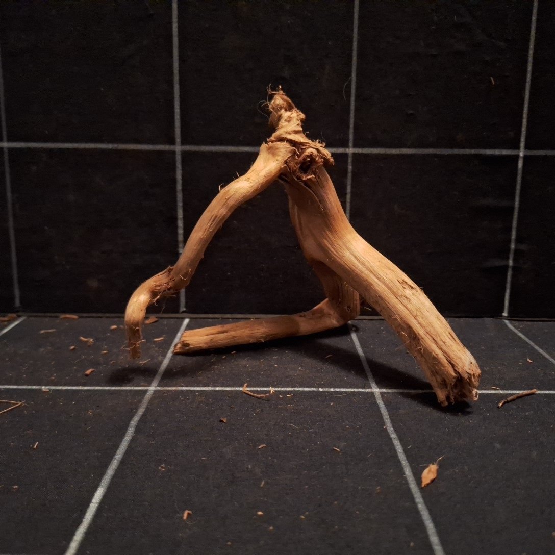 Tuskwood Akvarierot WYSIWYG Äkta Bogwood Unik 14 cm P362620 - Billede 4