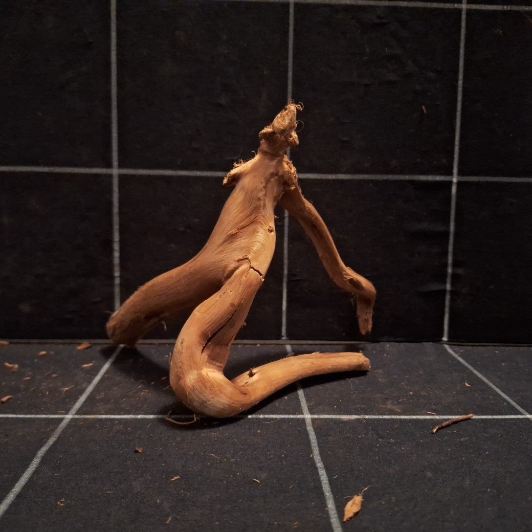 Tuskwood Akvarierot WYSIWYG Äkta Bogwood Unik 14 cm P362620 - Billede 5