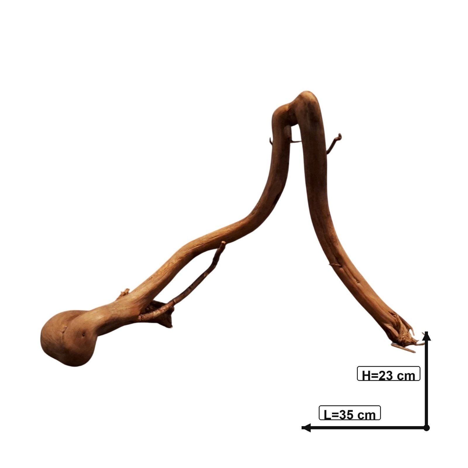 Tuskwood Akvarierot WYSIWYG Äkta Bogwood Unik 35 cm P382620 - obrazek 3