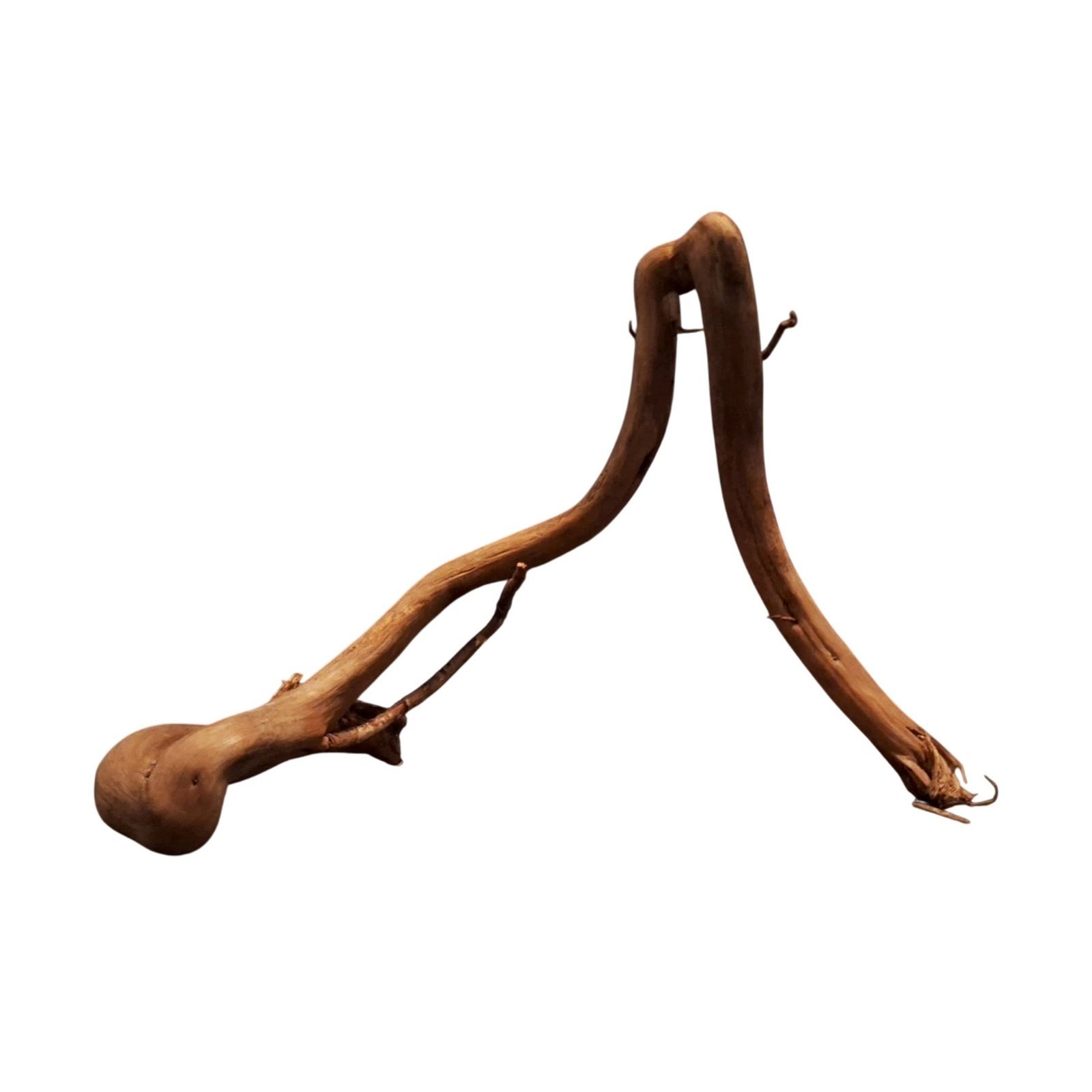 Tuskwood Akvarierot WYSIWYG Äkta Bogwood Unik 35 cm P382620 - obrazek 6