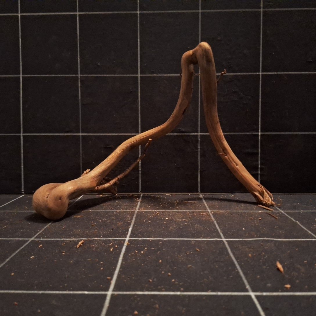 Tuskwood Akvarierot WYSIWYG Äkta Bogwood Unik 35 cm P382620 - obrazek 4