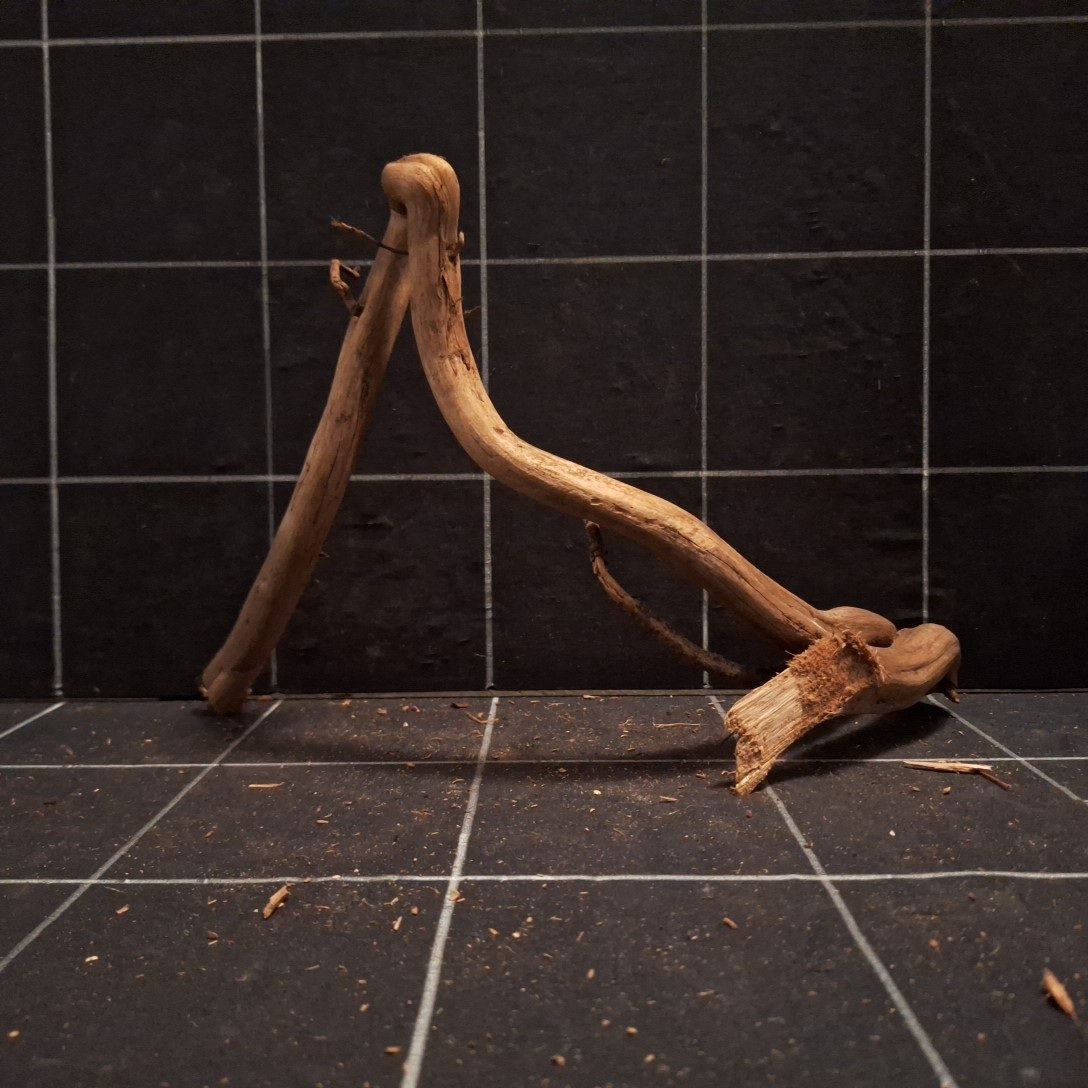 Tuskwood Akvarierot WYSIWYG Äkta Bogwood Unik 35 cm P382620 - obrazek 5