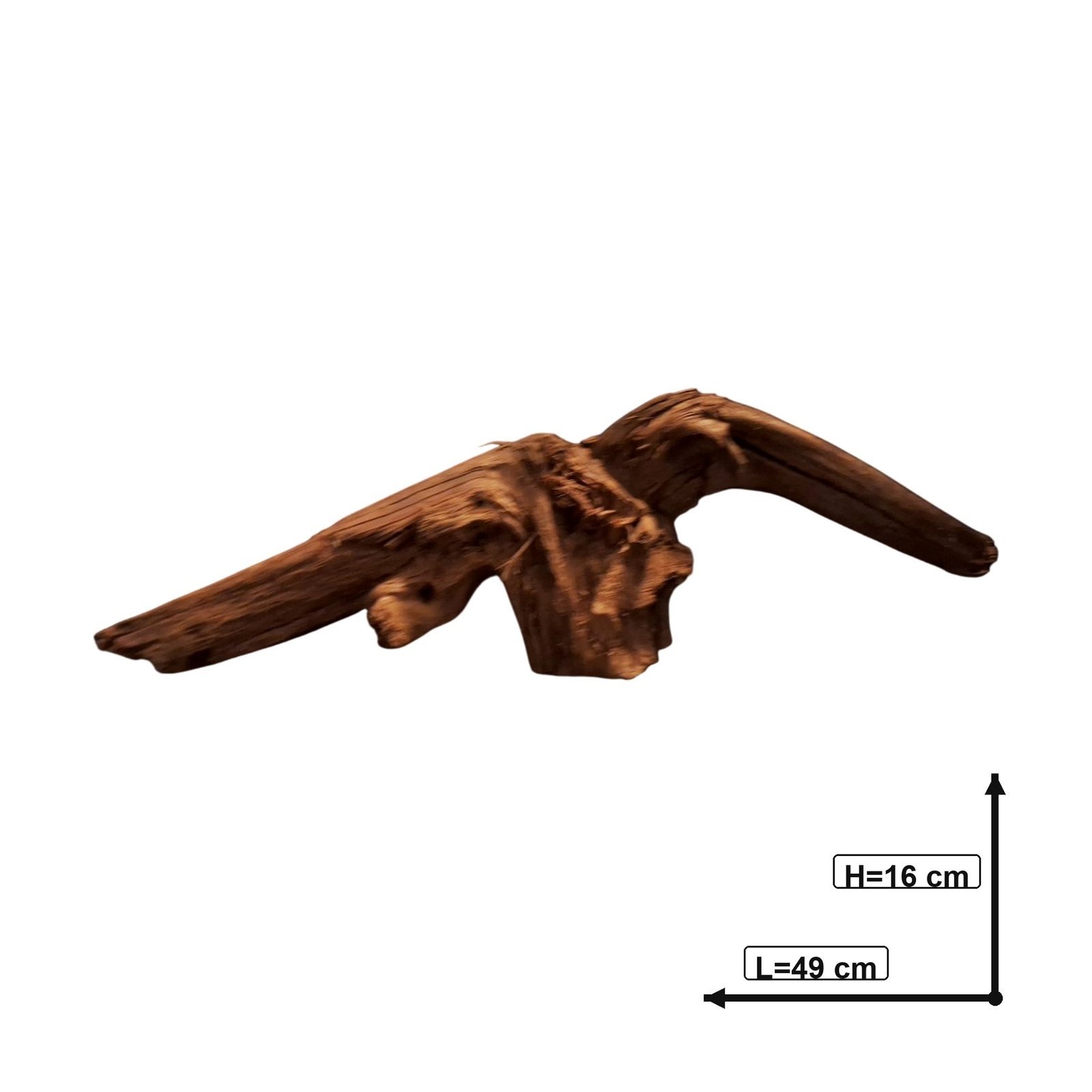 Tuskwood Akvarierot WYSIWYG Äkta Bogwood Unik 49 cm P402620 - obrazek 4