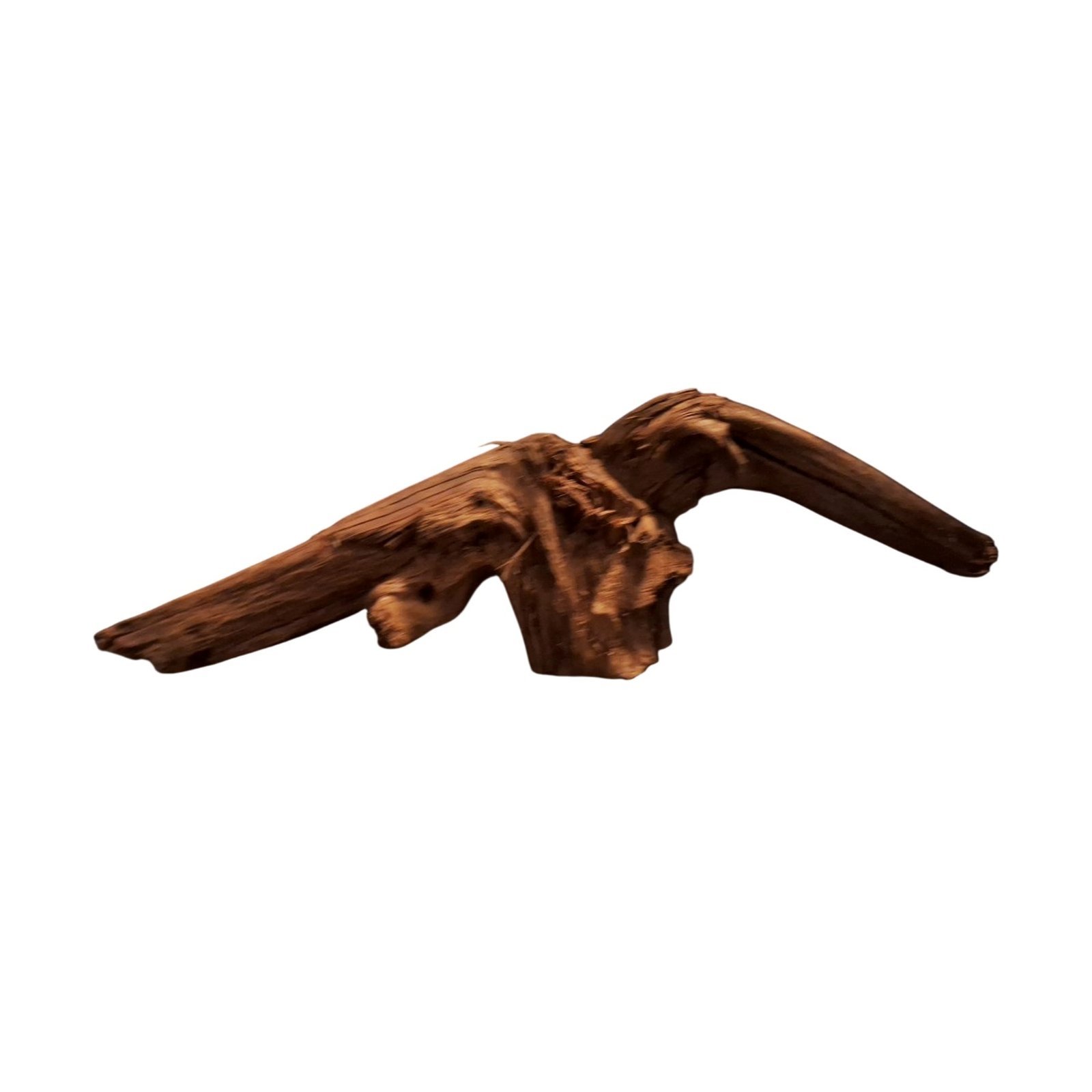 Tuskwood Akvarierot WYSIWYG Äkta Bogwood Unik 49 cm P402620 - obrazek 8