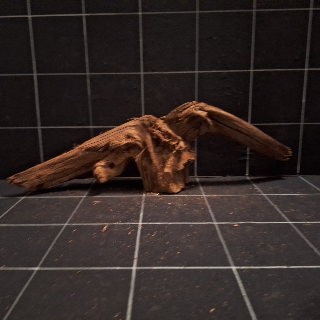 Tuskwood Akvarierot WYSIWYG Äkta Bogwood Unik 49 cm P402620 - obrazek 5