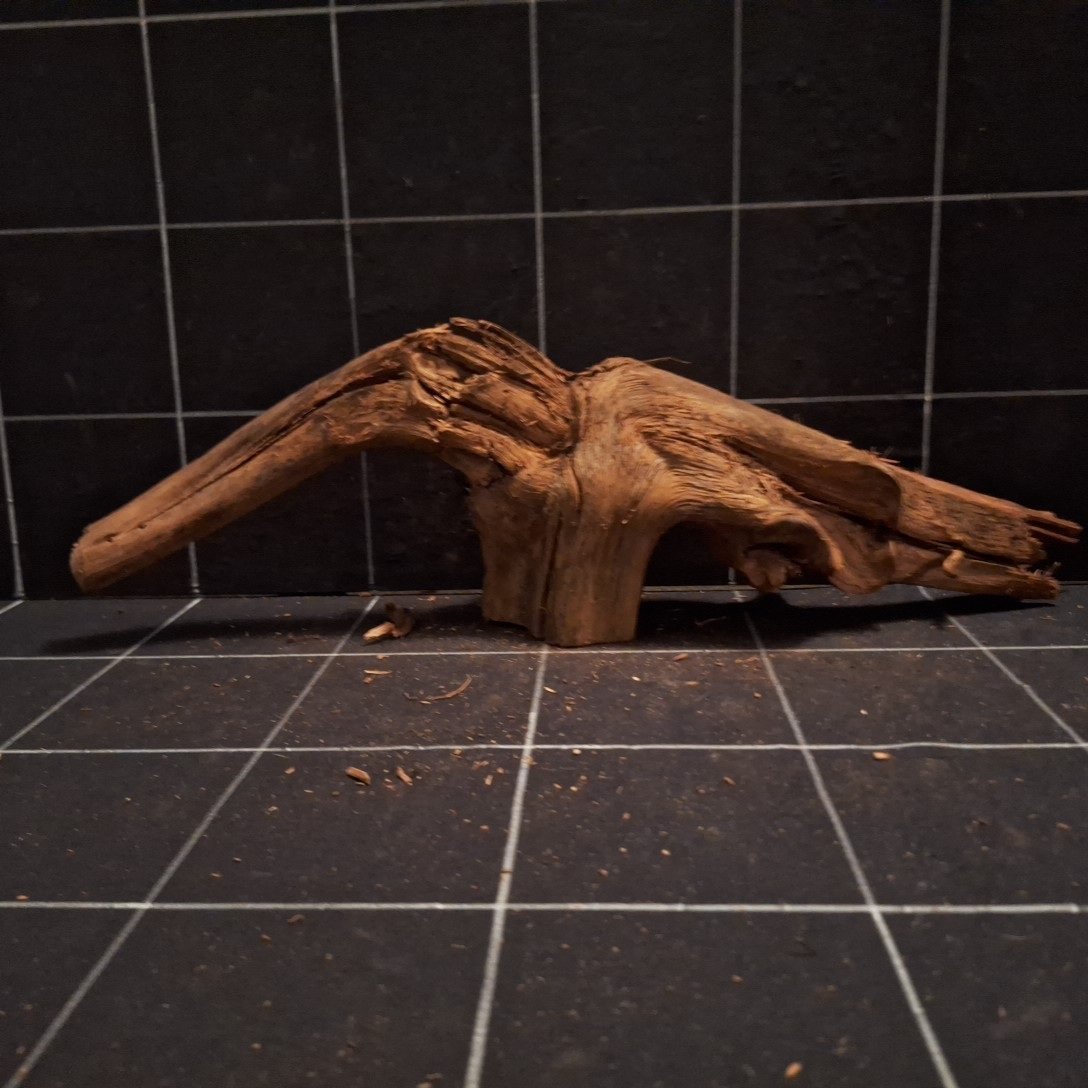 Tuskwood Akvarierot WYSIWYG Äkta Bogwood Unik 49 cm P402620 - obrazek 6