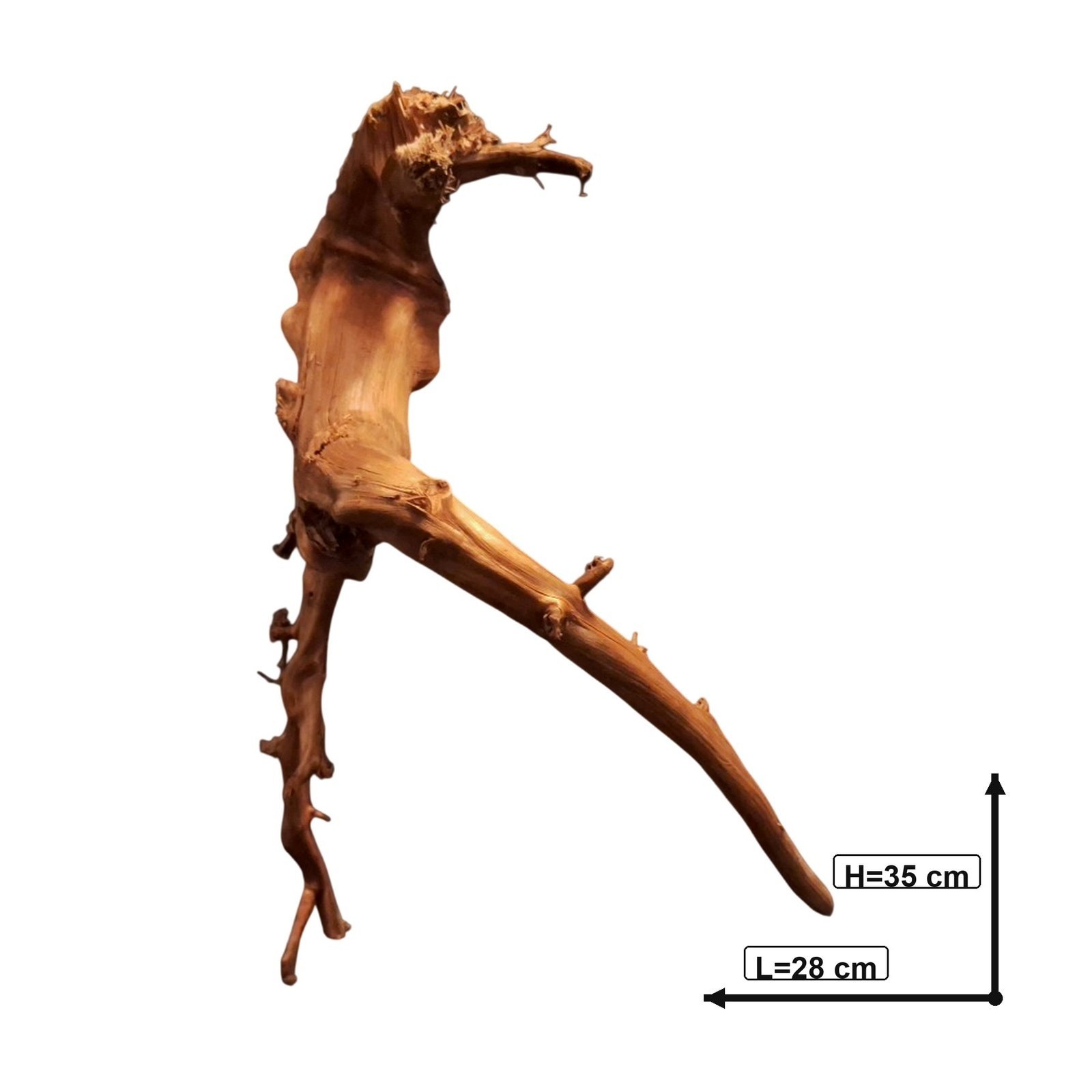 Tuskwood Akvarierot WYSIWYG Äkta Bogwood Unik 35 cm P432620 - obrazek 3