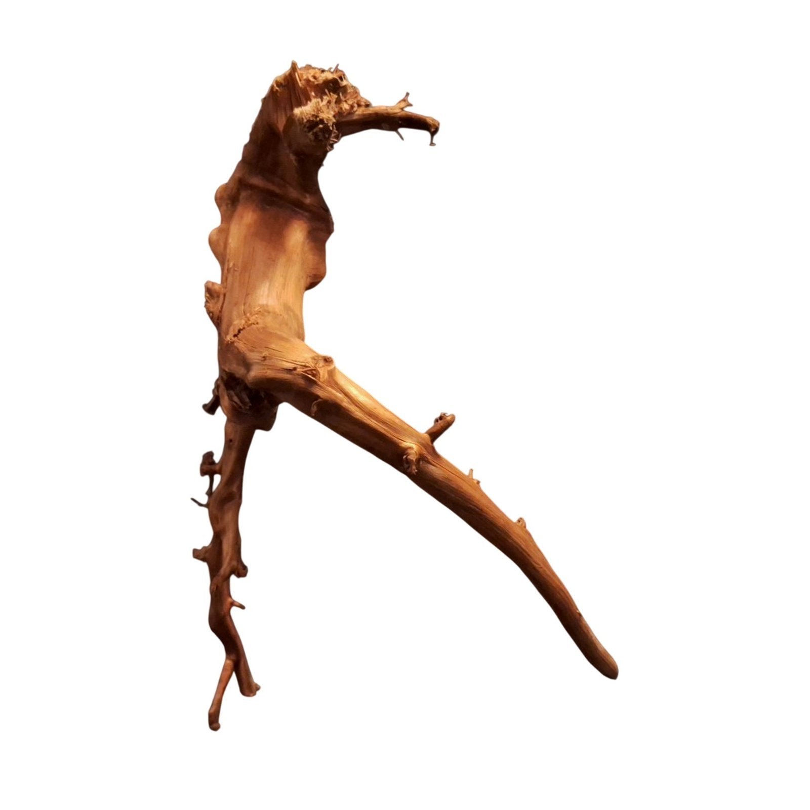 Tuskwood Akvarierot WYSIWYG Äkta Bogwood Unik 35 cm P432620 - obrazek 6
