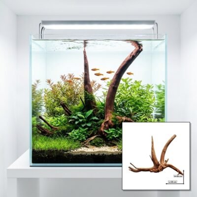 Tuskwood Akvarierot Set om 2 delar WYSIWYG Äkta Bogwood Unik 39 cm S2022622