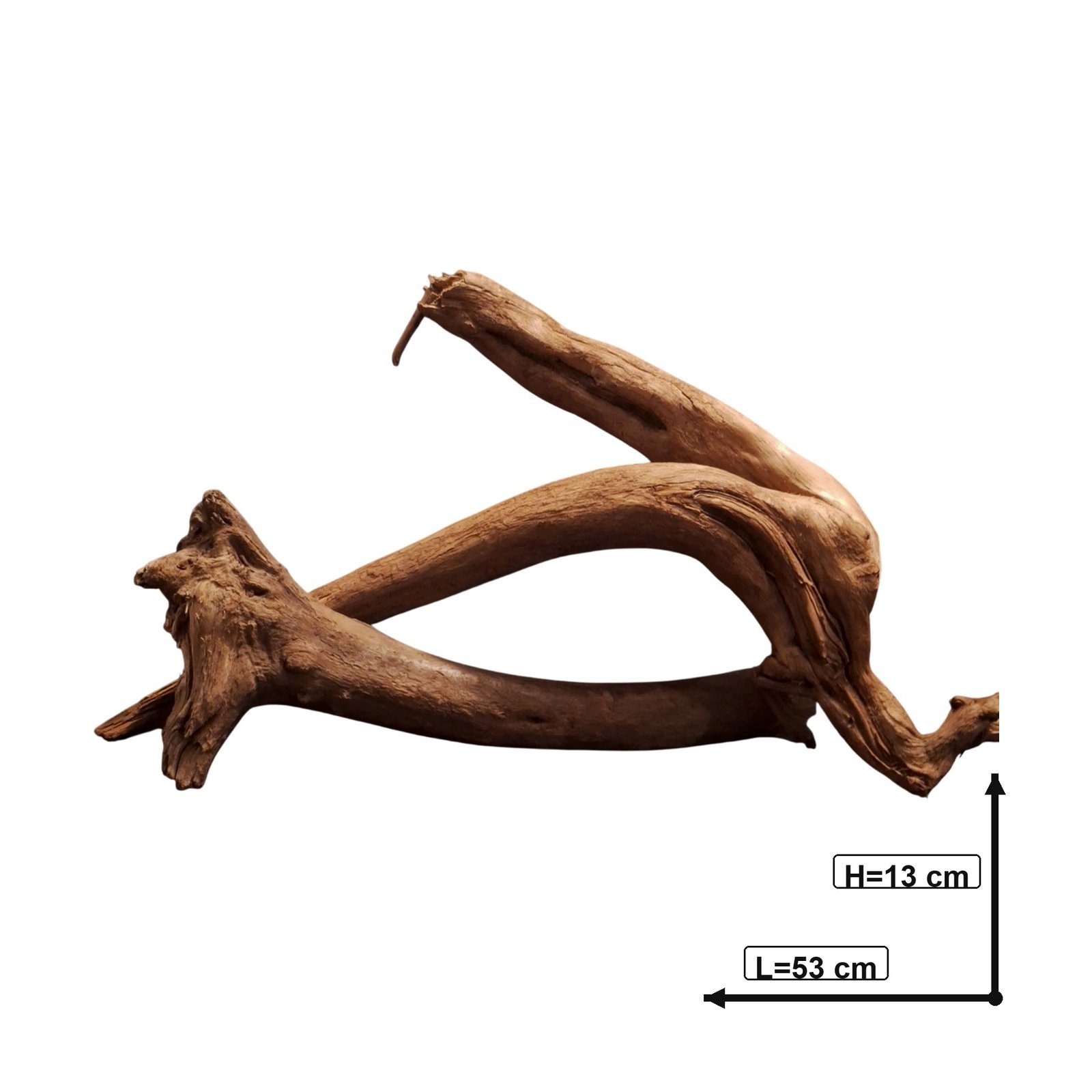 Tuskwood Akvarierot Set om 2 delar WYSIWYG Äkta Bogwood Unik 53 cm S2142622 - Afbeelding 3