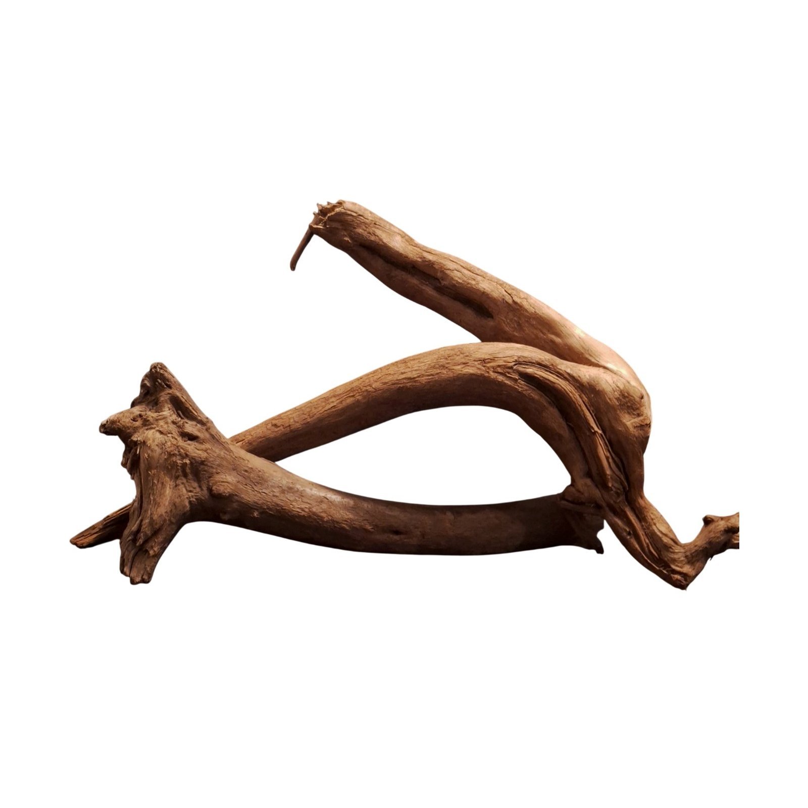 Tuskwood Akvarierot Set om 2 delar WYSIWYG Äkta Bogwood Unik 53 cm S2142622 - Afbeelding 6