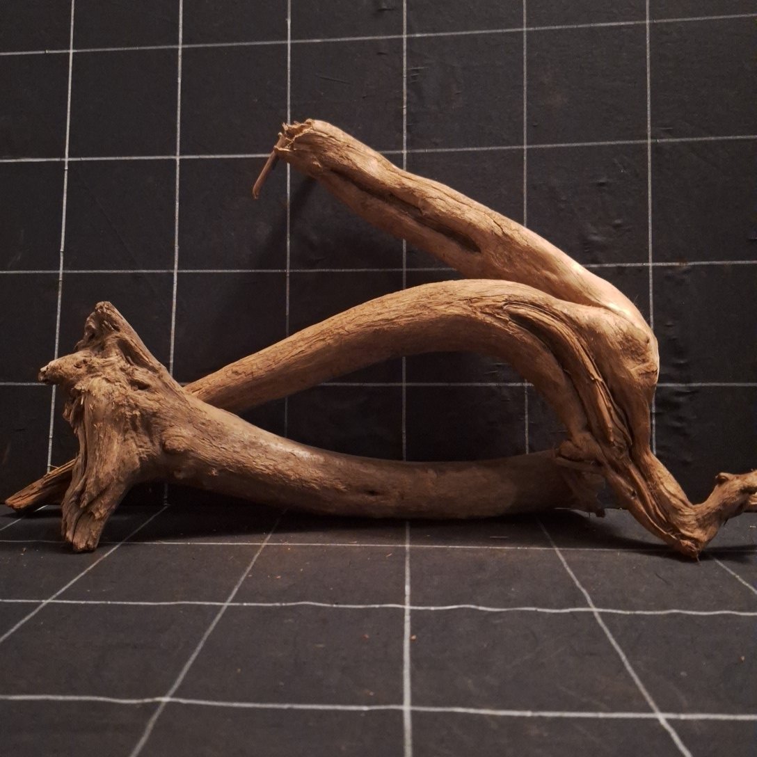 Tuskwood Akvarierot Set om 2 delar WYSIWYG Äkta Bogwood Unik 53 cm S2142622 - Afbeelding 4