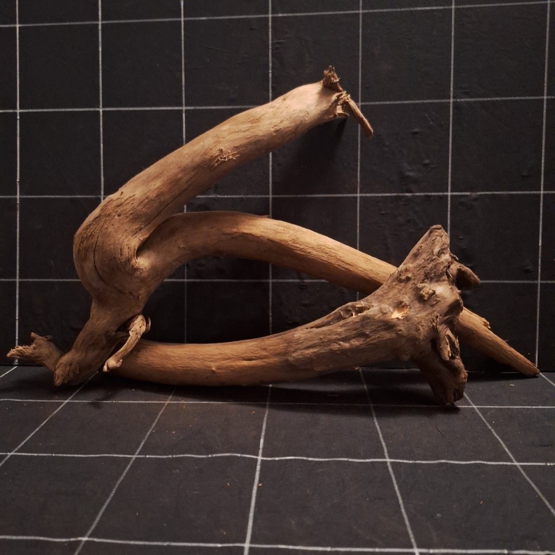 Tuskwood Akvarierot Set om 2 delar WYSIWYG Äkta Bogwood Unik 53 cm S2142622 - Afbeelding 5