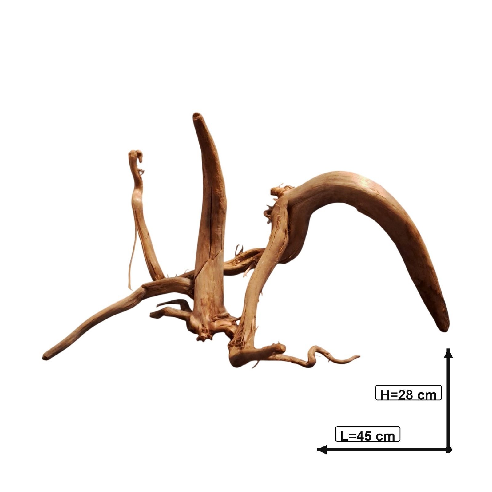 Tuskwood Akvarierot Set om 2 delar WYSIWYG Äkta Bogwood Unik 45 cm S2162622 - obrazek 3