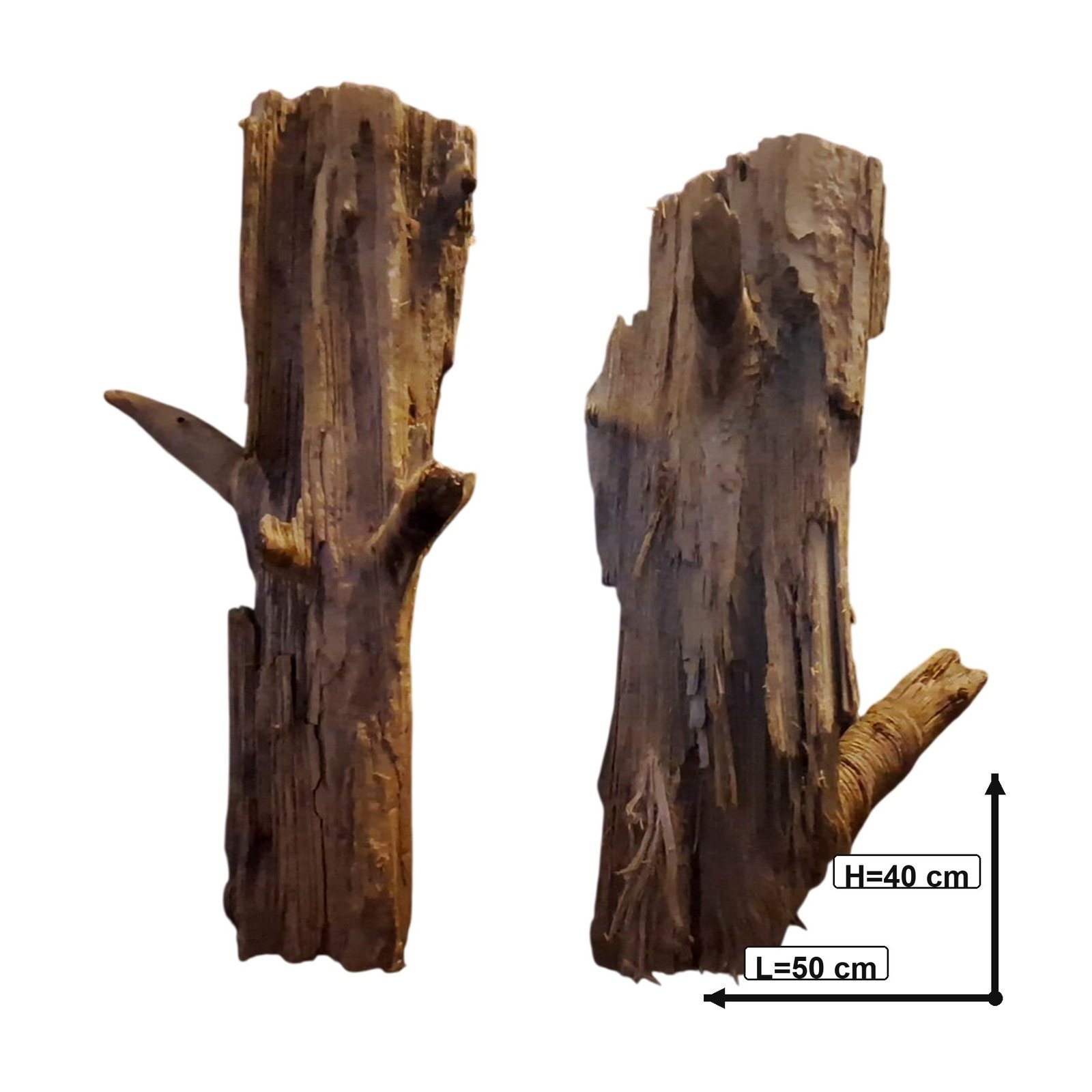 Tuskwood Akvarierot Set om 2 delar WYSIWYG Äkta Bogwood Unik 50 cm S2212621 - Kuva 3