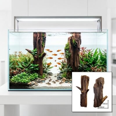 Tuskwood Korzeń akwariowy Zestaw 2 sztuk WYSIWYG Genuine Bogwood Unique 50 cm S2212621