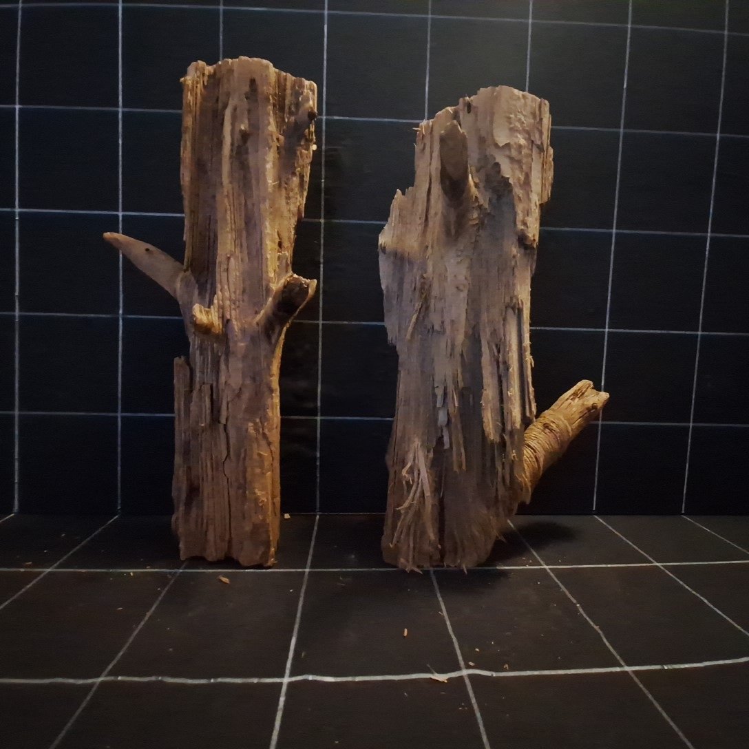 Tuskwood Akvarierot Set om 2 delar WYSIWYG Äkta Bogwood Unik 50 cm S2212621 - Kuva 4