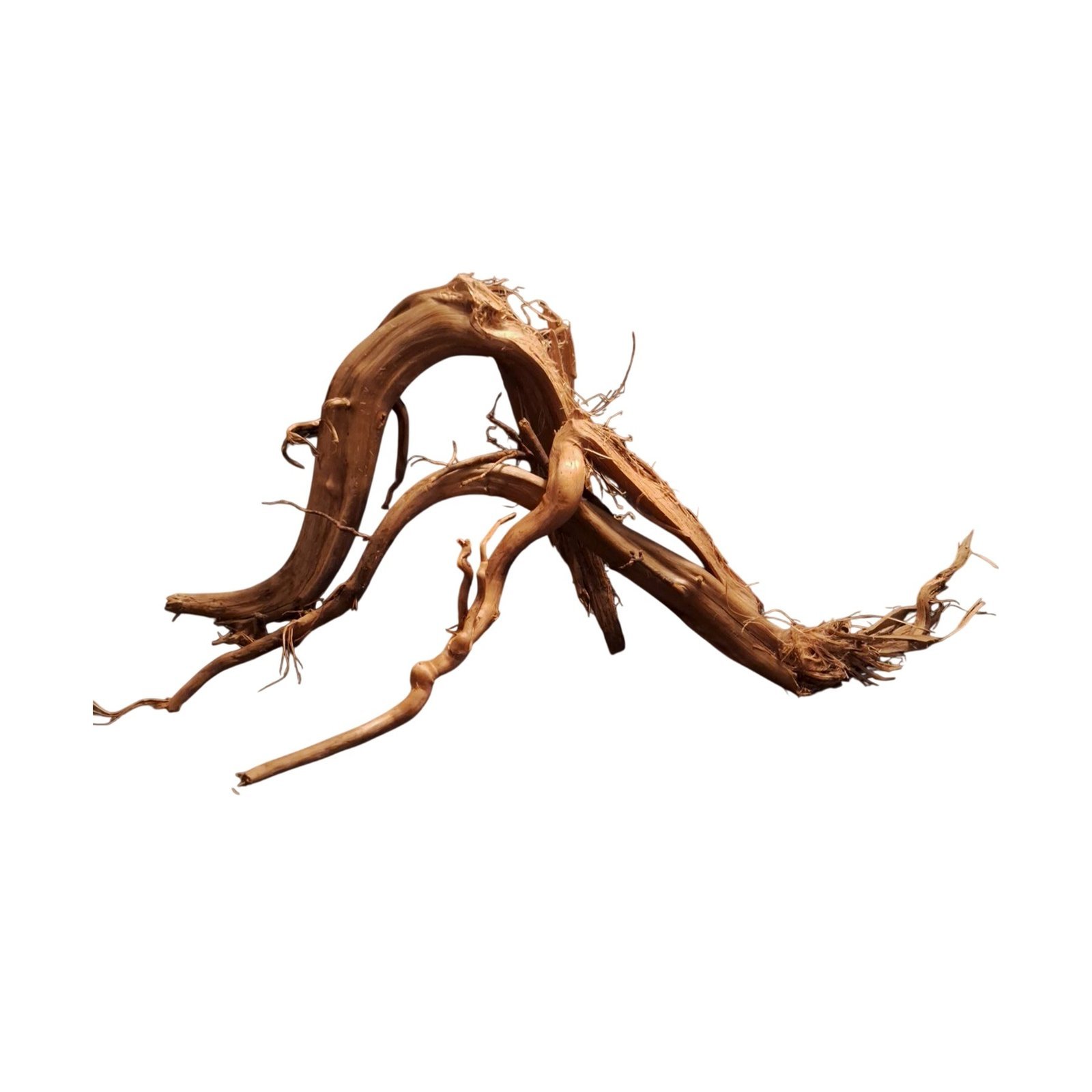 Tuskwood Akvarierot Set om 3 delar WYSIWYG Äkta Bogwood Unik 37 cm S3092622 - obrazek 6