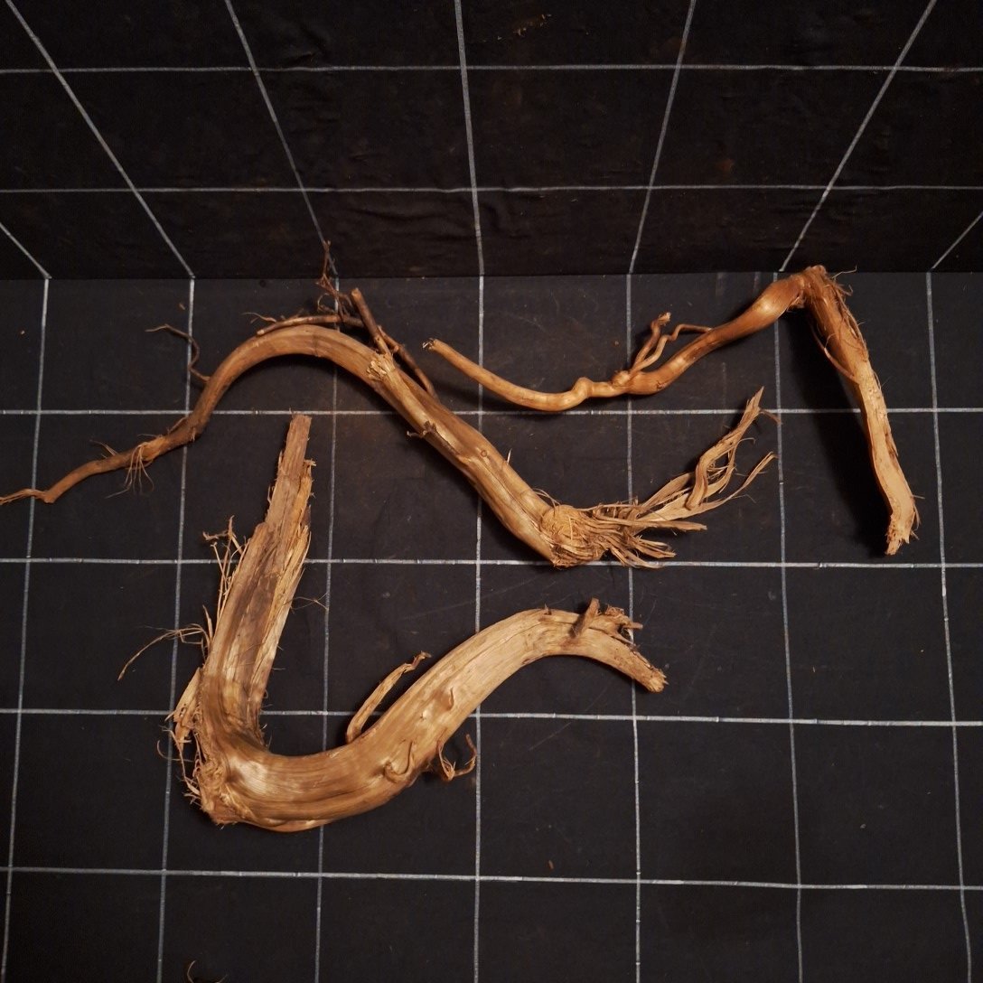 Tuskwood Akvarierot Set om 3 delar WYSIWYG Äkta Bogwood Unik 37 cm S3092622 - obrazek 5