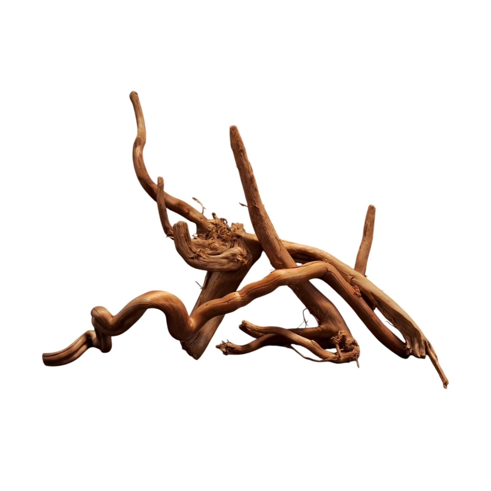 Tuskwood Akvarierot Set om 3 delar WYSIWYG Äkta Bogwood Unik 30 cm S3332620 – Bild 5