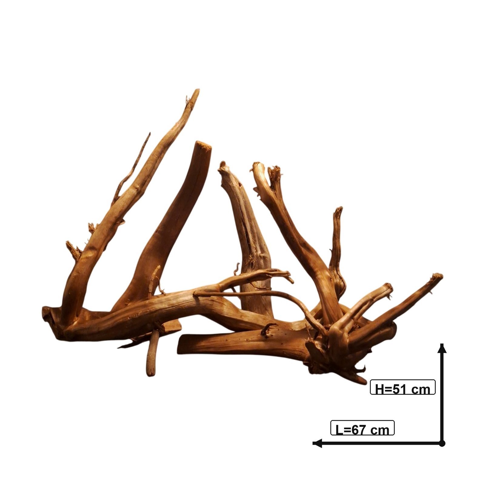 Tuskwood Akvarierot Set om 4 delar WYSIWYG Äkta Bogwood Unik 67 cm S4152622 – Image 3