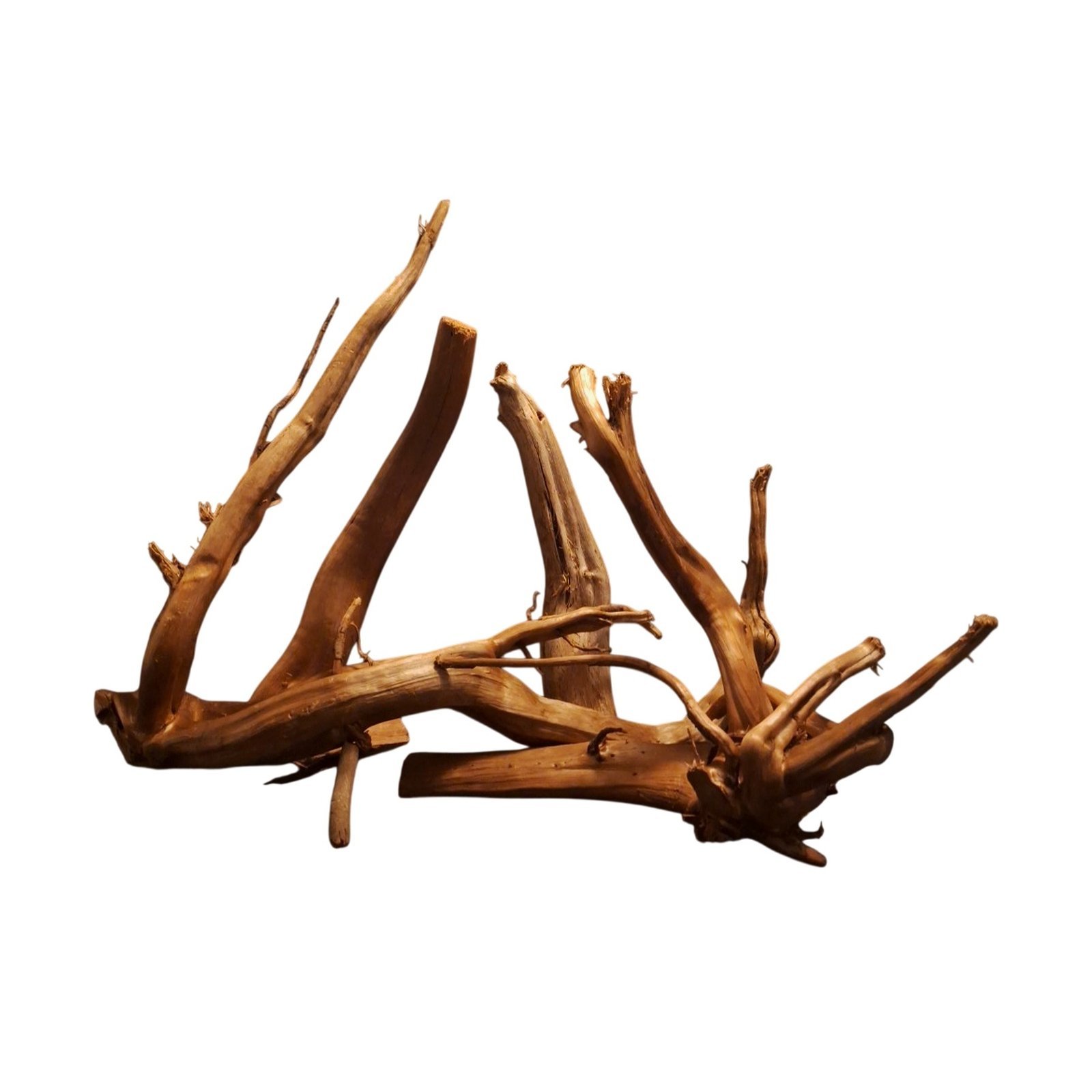 Tuskwood Akvarierot Set om 4 delar WYSIWYG Äkta Bogwood Unik 67 cm S4152622 – Image 9