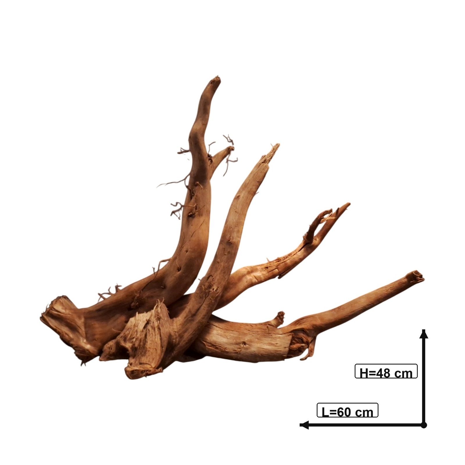 Tuskwood Akvarierot Set om 4 delar WYSIWYG Äkta Bogwood Unik 60 cm S4422620 – Bild 3
