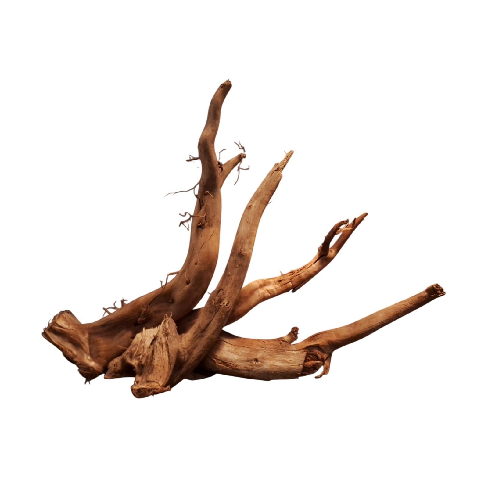 Tuskwood Akvarierot Set om 4 delar WYSIWYG Äkta Bogwood Unik 60 cm S4422620 – Bild 5