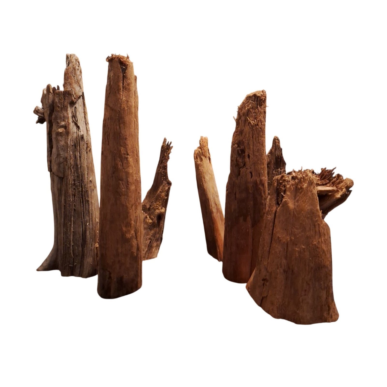 Tuskwood Akvarierot Set om 7 delar WYSIWYG Äkta Bogwood Unik 50 cm S7122622 – Image 6