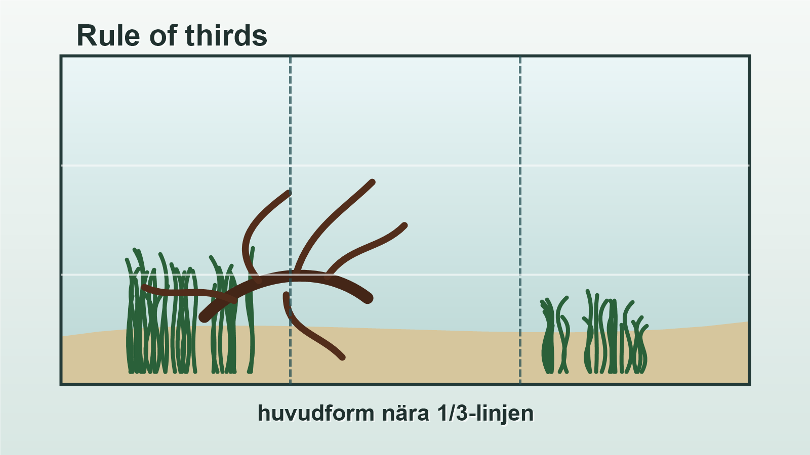 Illustration av tredjedelsregeln i ett rektangulärt akvarium med rot nära en tredjedelslinje.
