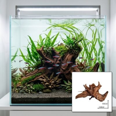 Tuskwood Akvarierot WYSIWYG Äkta Bogwood Unik 60 cm Nr127