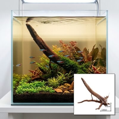 Tuskwood Akvarierot WYSIWYG Äkta Bogwood Unik 35 cm NrT20