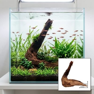 Tuskwood Akvarierot WYSIWYG Äkta Bogwood Unik 35 cm NrT27