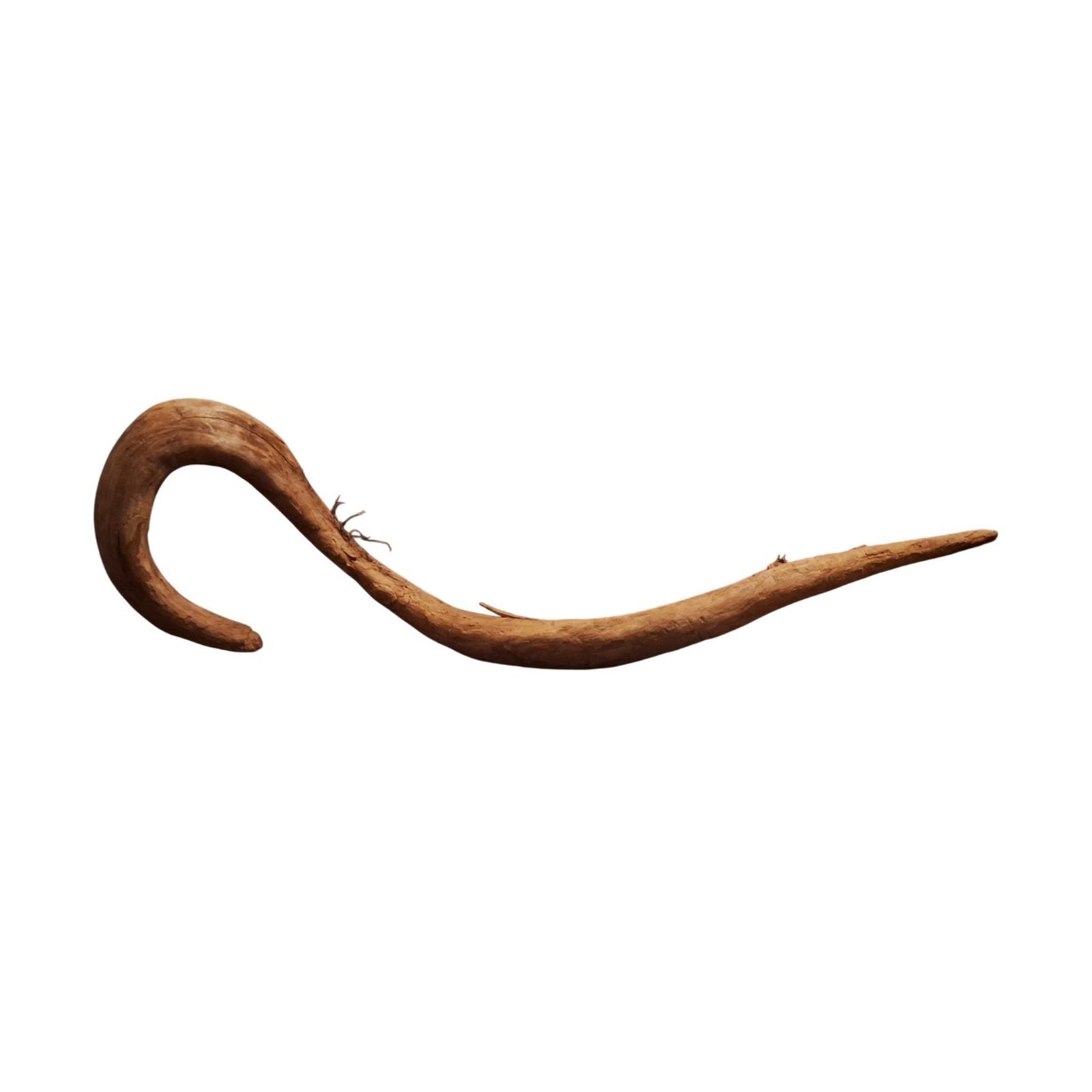 Tuskwood Akvarierot WYSIWYG Äkta Bogwood Unik 52 cm P022623 - obrazek 6