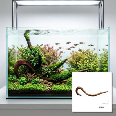 Tuskwood Korzeń akwariowy WYSIWYG Genuine Bogwood Unique 52 cm P022623