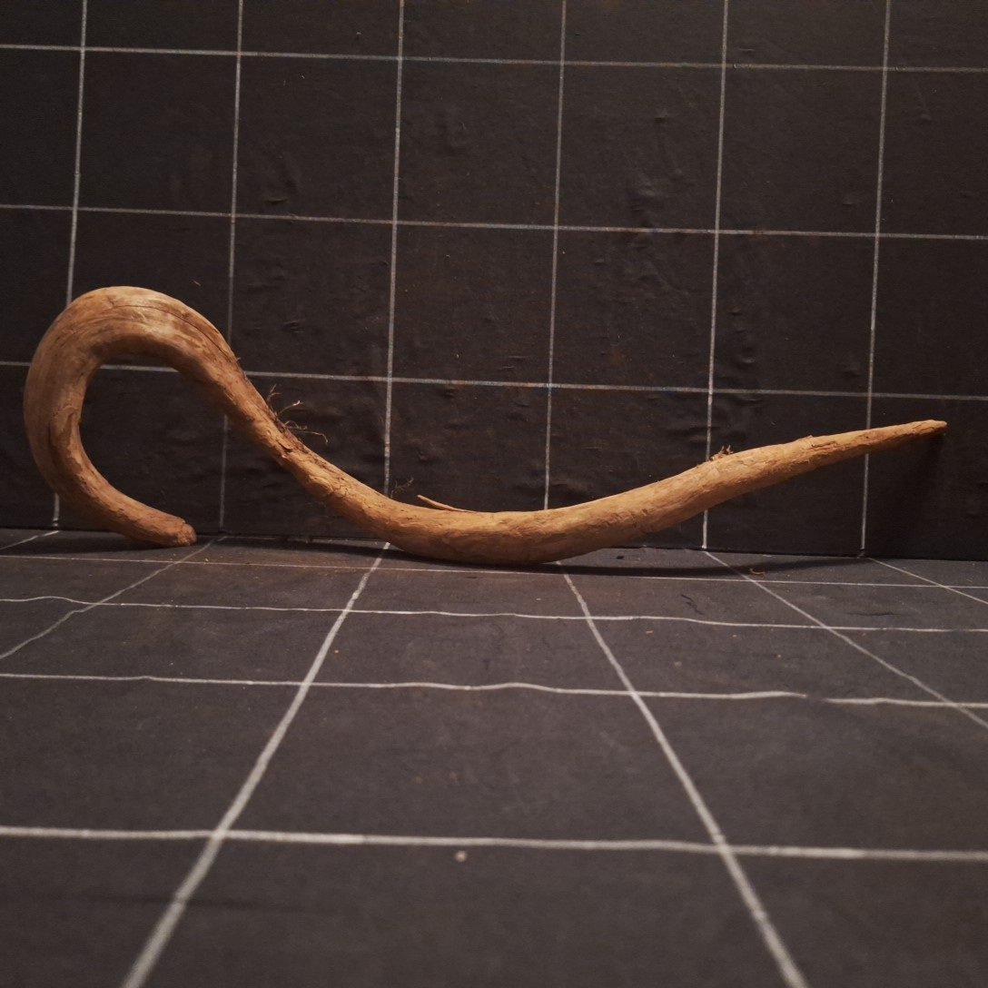 Tuskwood Akvarierot WYSIWYG Äkta Bogwood Unik 52 cm P022623 - obrazek 4