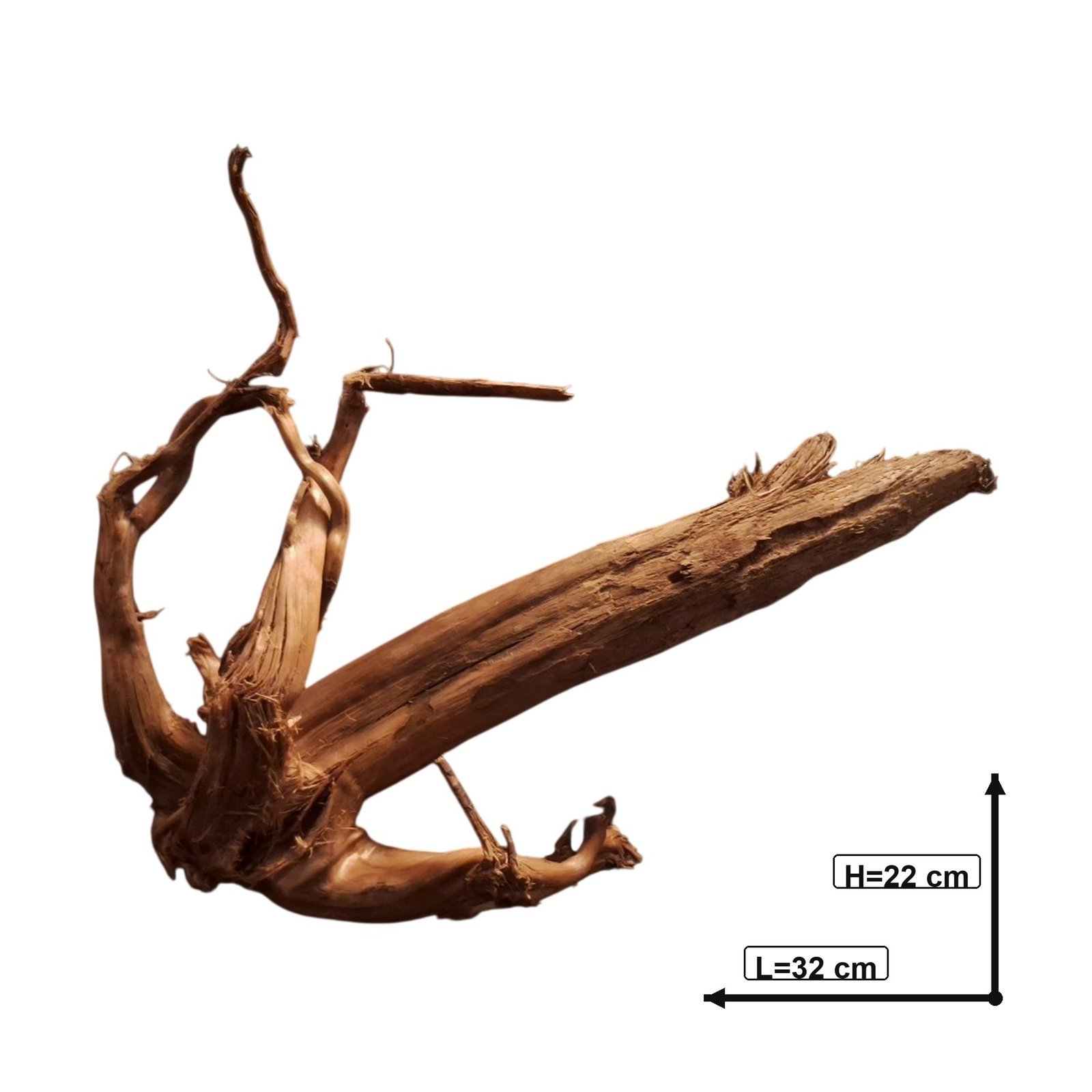 Tuskwood Akvarierot WYSIWYG Äkta Bogwood Unik 32 cm P032623 - Bild 3