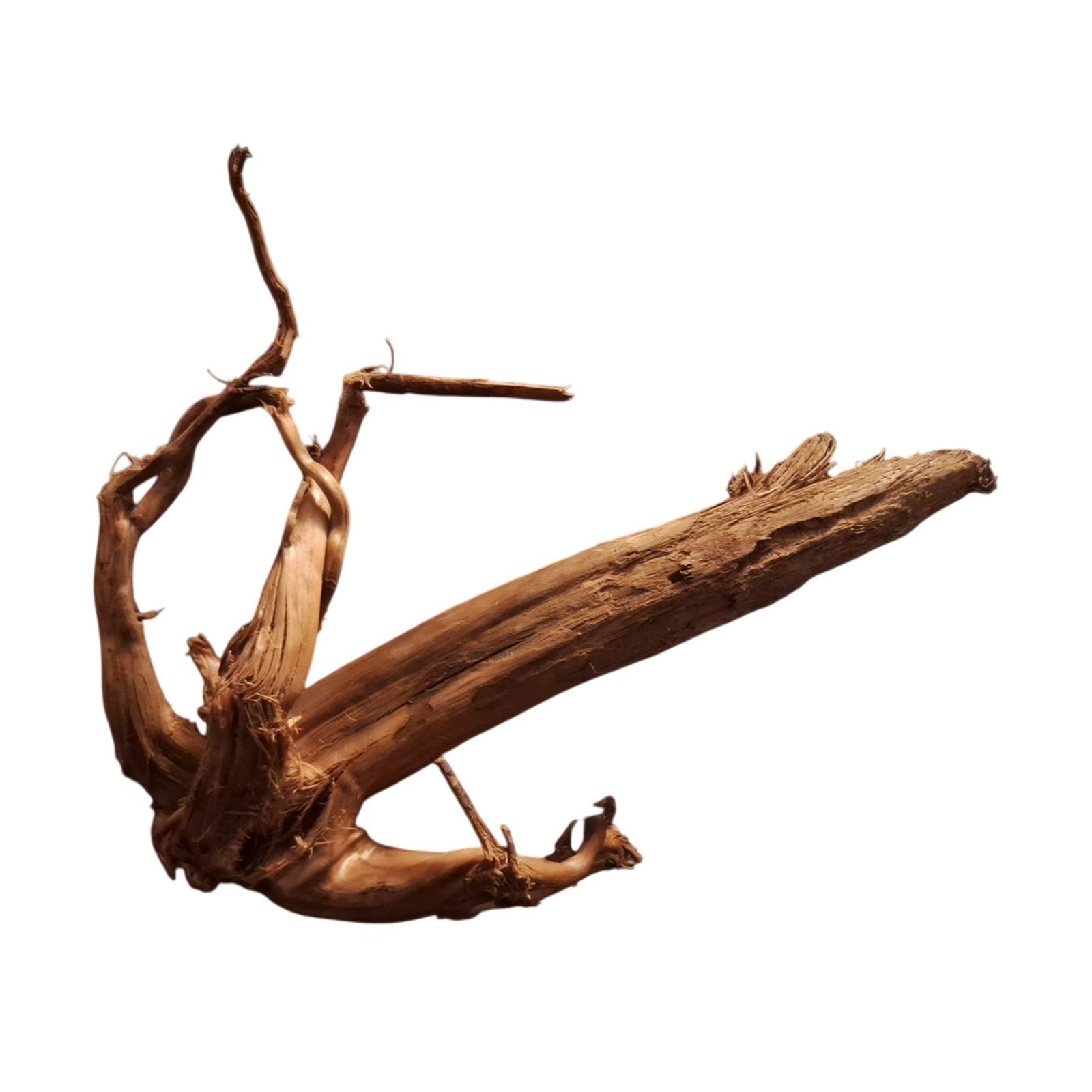 Tuskwood Akvarierot WYSIWYG Äkta Bogwood Unik 32 cm P032623 - Bild 6
