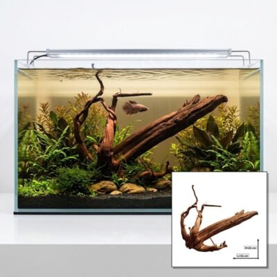 Tuskwood Akvarierod WYSIWYG Ægte Bogwood Unique 32 cm P032623