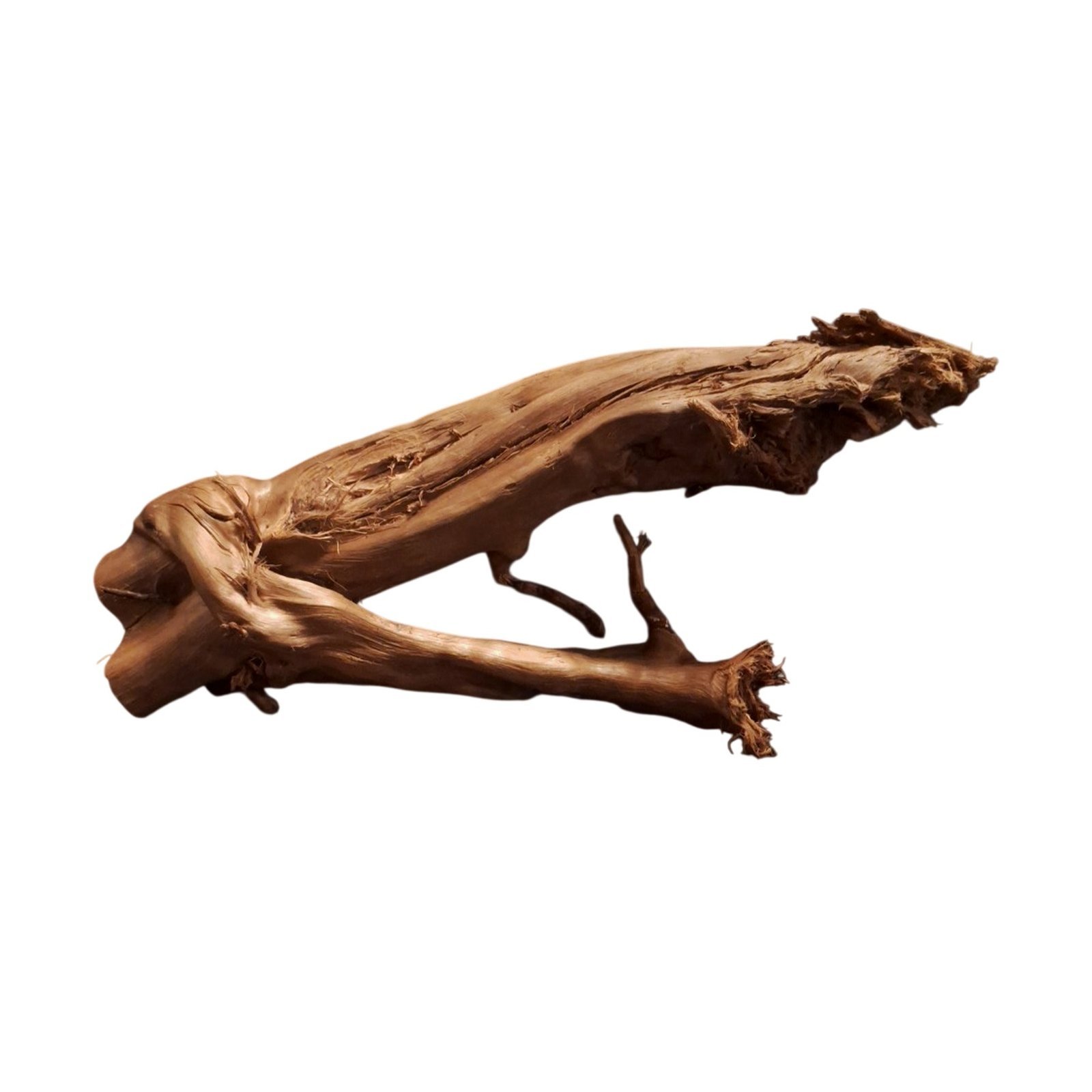 Tuskwood Akvarierot WYSIWYG Äkta Bogwood Unik 31 cm P052623 – Bild 8