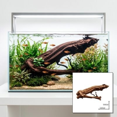 Tuskwood Akvarierod WYSIWYG Ægte Bogwood Unique 31 cm P052623