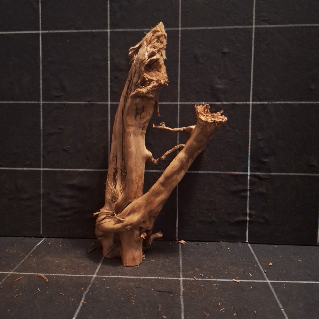 Tuskwood Akvarierot WYSIWYG Äkta Bogwood Unik 31 cm P052623 – Bild 6