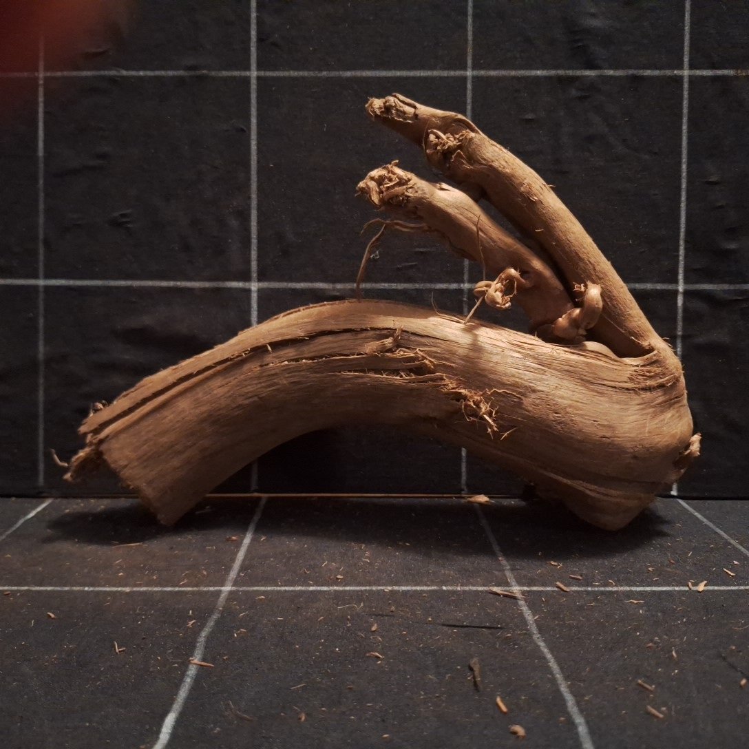 Tuskwood Akvarierot WYSIWYG Äkta Bogwood Unik 26 cm P062623 – Bild 4