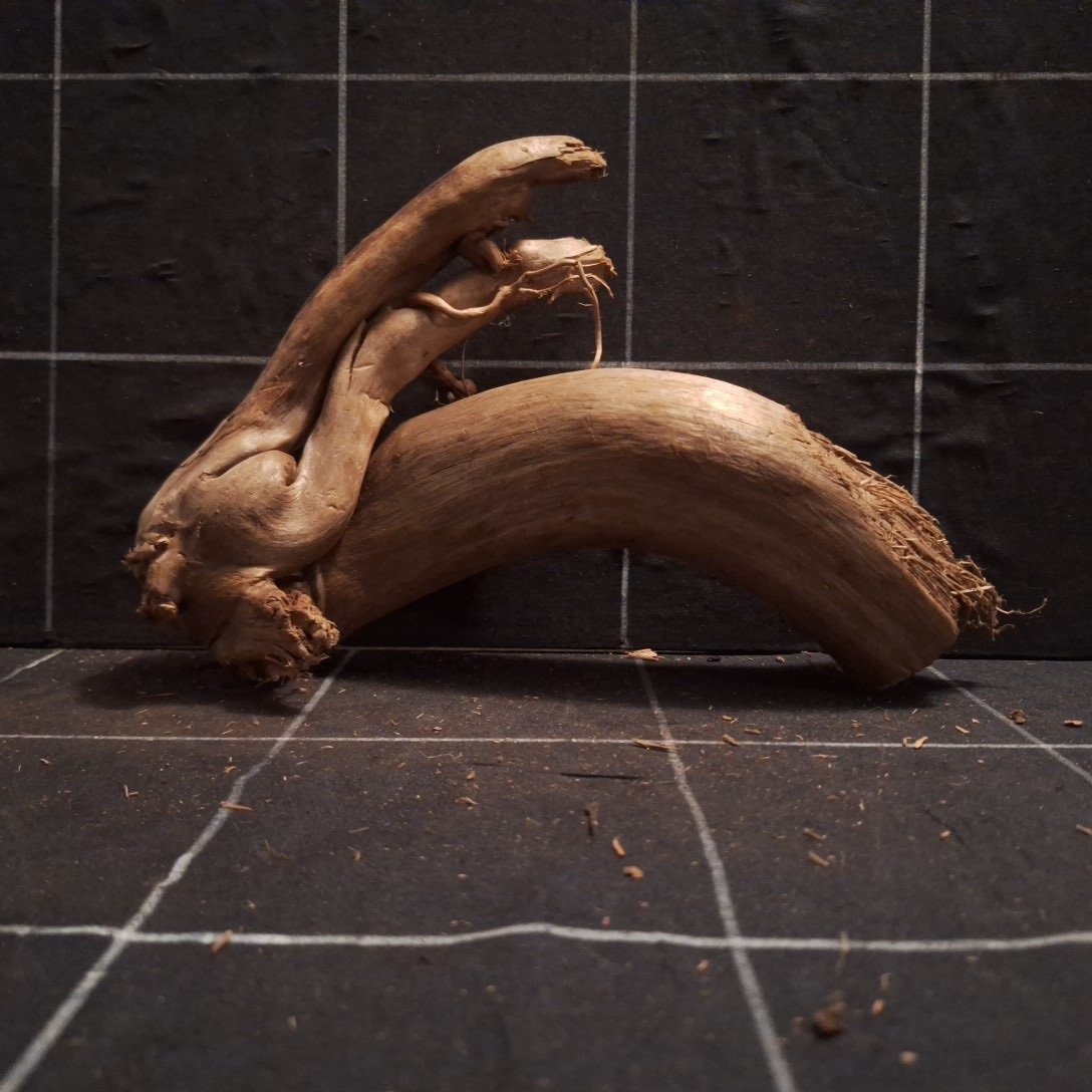 Tuskwood Akvarierot WYSIWYG Äkta Bogwood Unik 26 cm P062623 – Bild 5