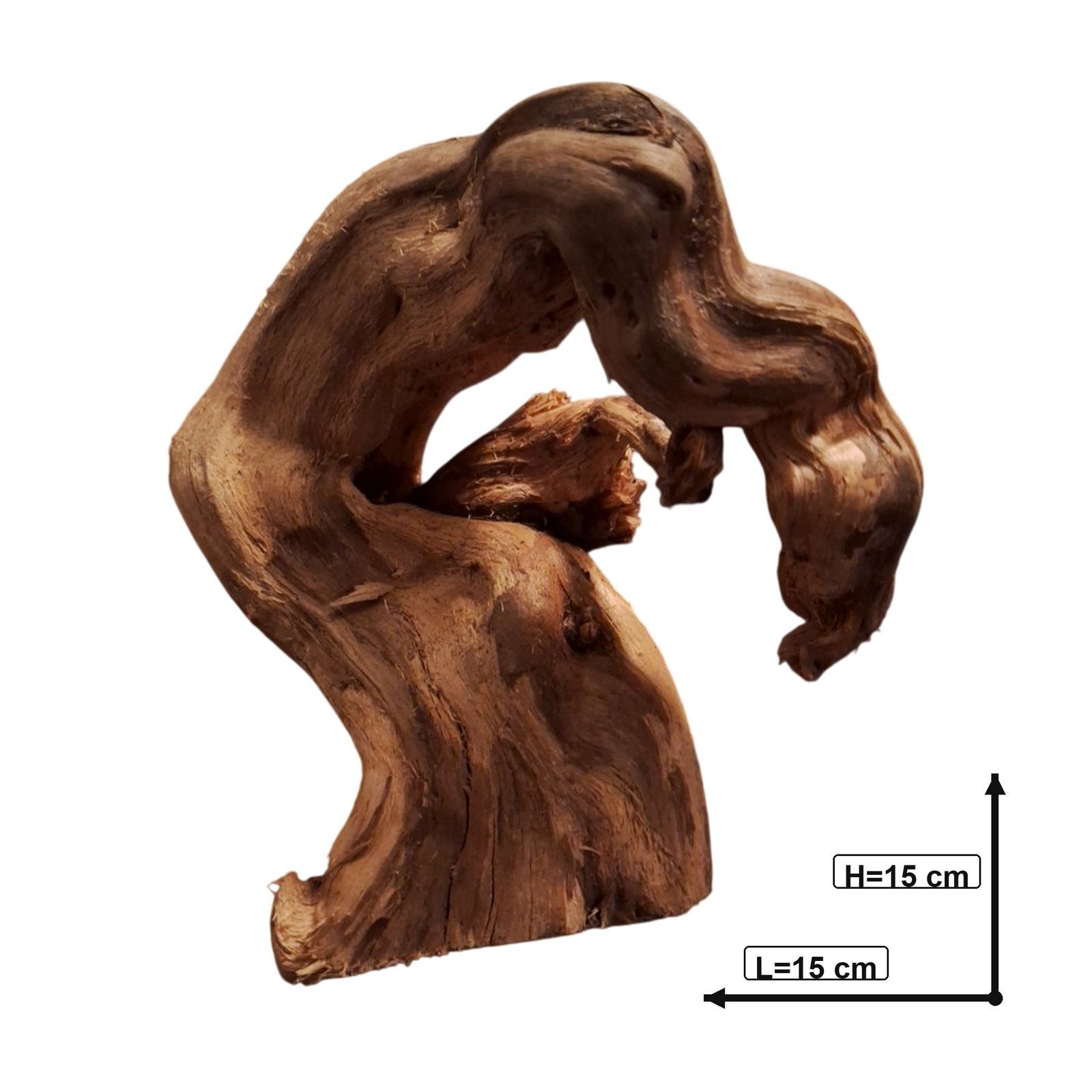 Tuskwood Akvarierot WYSIWYG Äkta Bogwood Unik 15 cm P082623 - Kuva 3