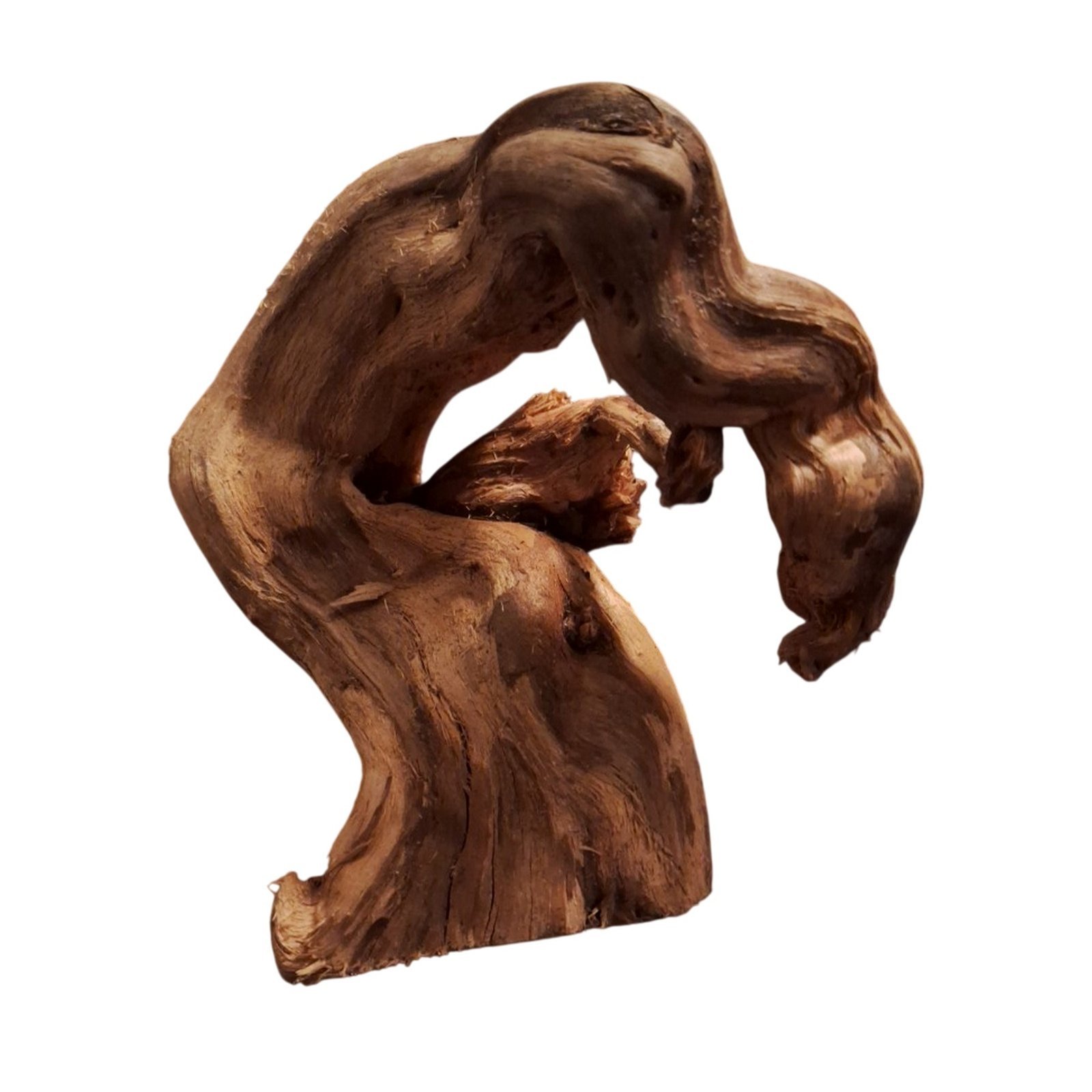 Tuskwood Akvarierot WYSIWYG Äkta Bogwood Unik 15 cm P082623 - Kuva 6