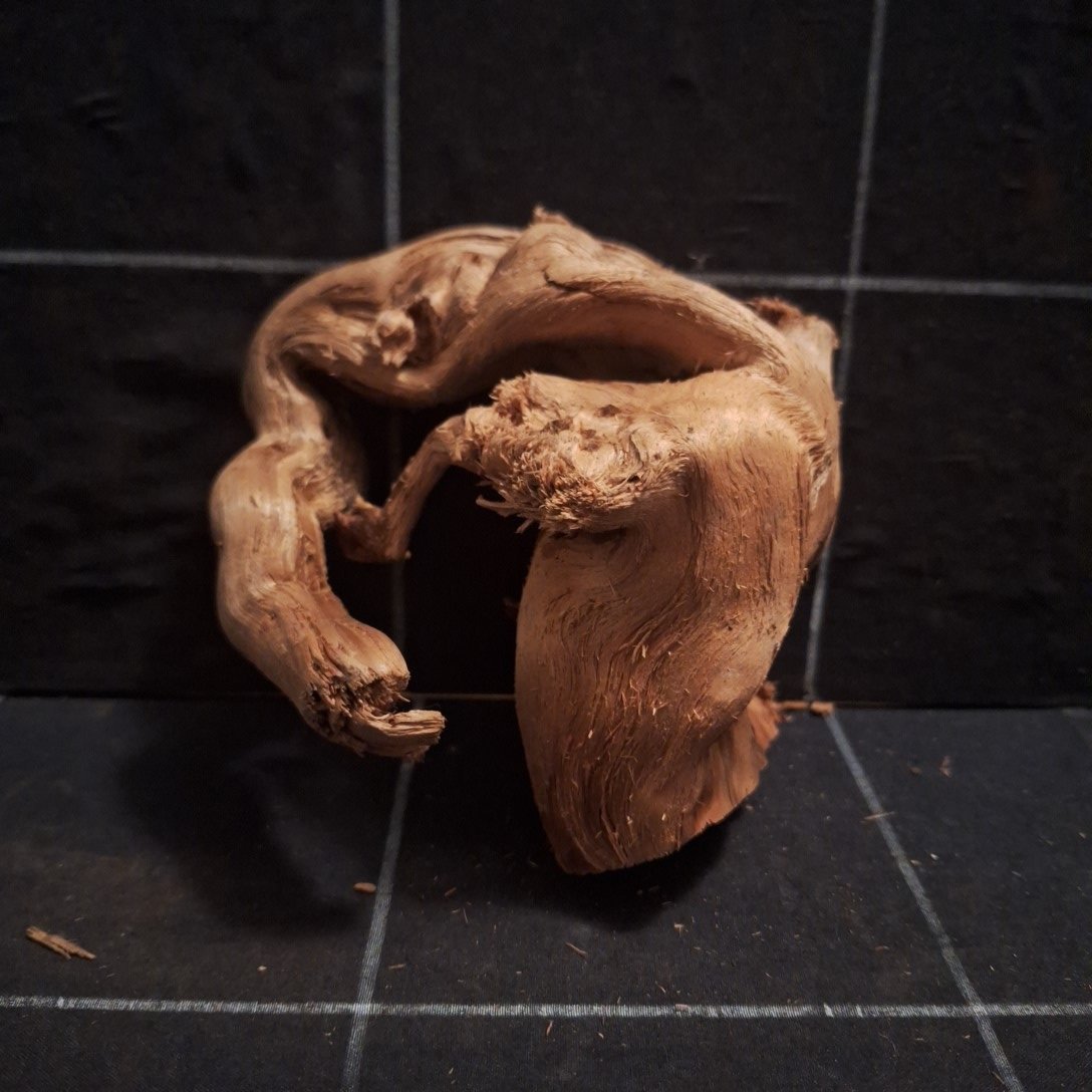 Tuskwood Akvarierot WYSIWYG Äkta Bogwood Unik 15 cm P082623 - Kuva 5