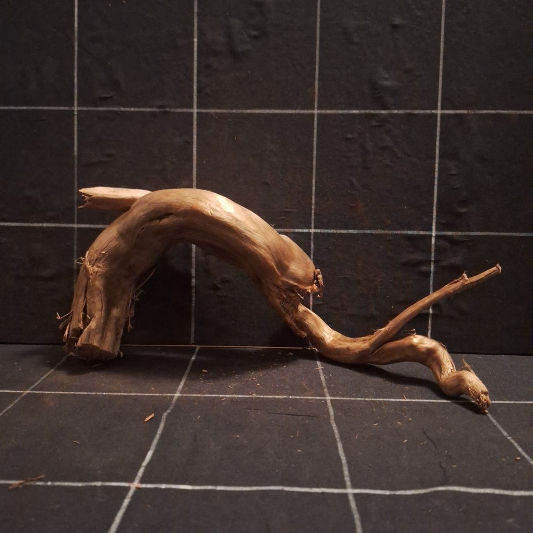 Tuskwood Akvarierot WYSIWYG Äkta Bogwood Unik 31 cm P092623 - Bild 4