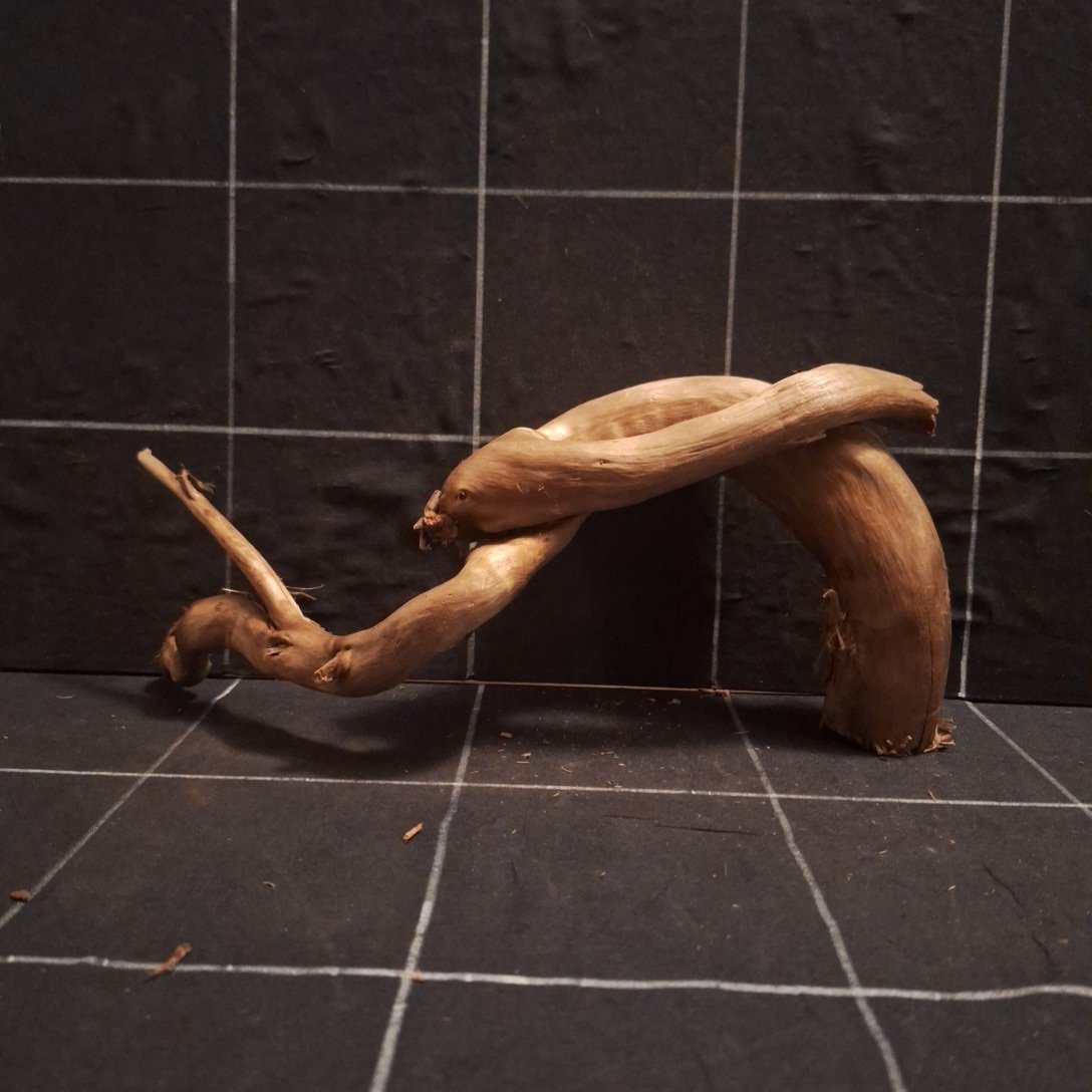Tuskwood Akvarierot WYSIWYG Äkta Bogwood Unik 31 cm P092623 - Bild 5