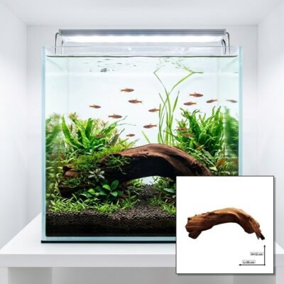 Tuskwood Korzeń akwariowy WYSIWYG Genuine Bogwood Unique 30 cm P122623